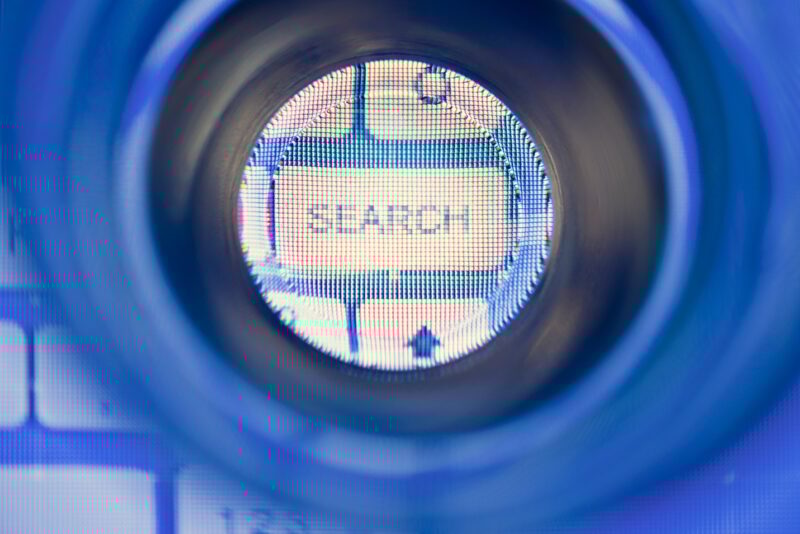 how seo helps your business grow
