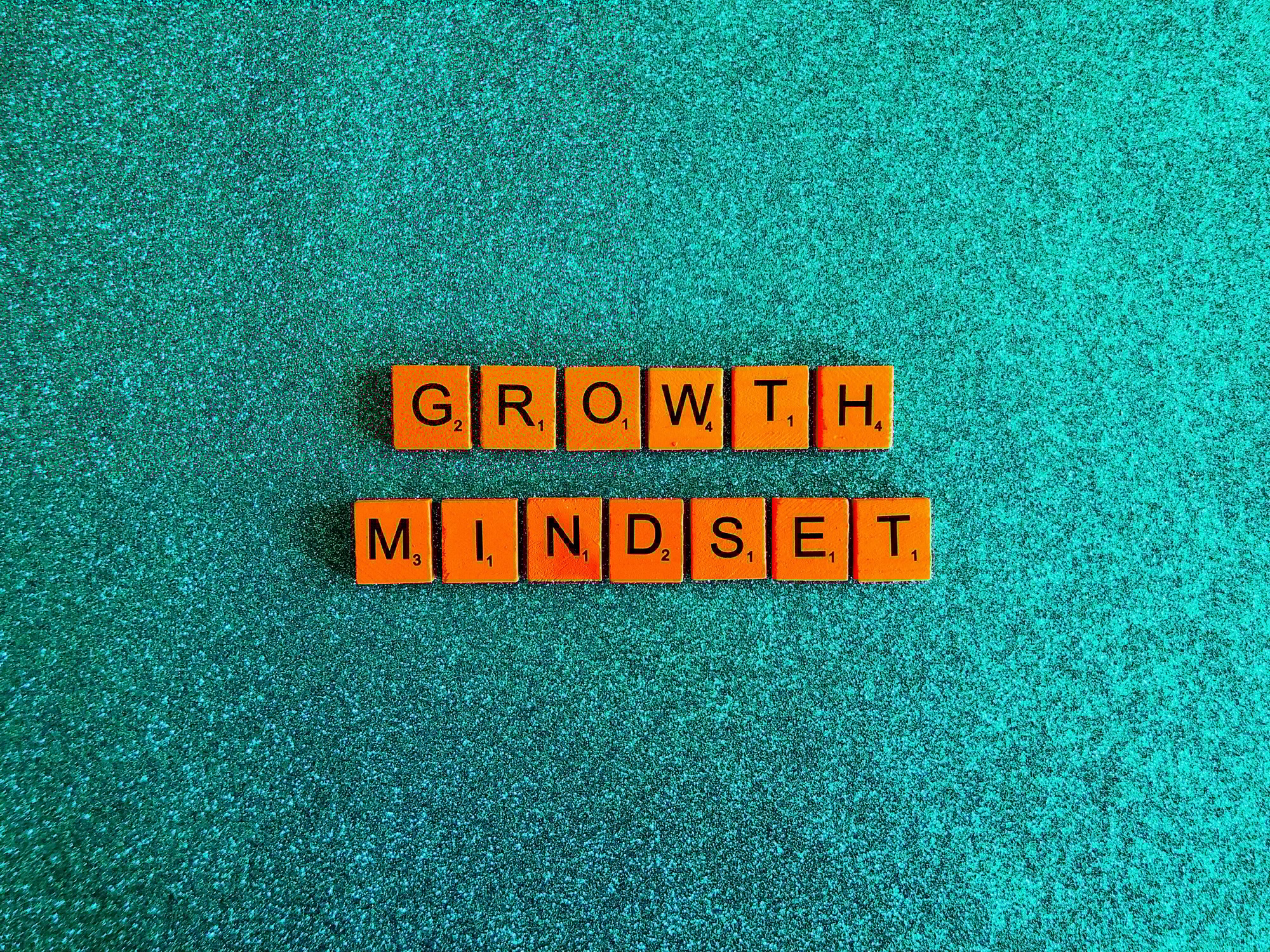 Growth-Focused Marketing Mindset for Small Business growth mindset